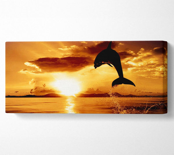 Dolphin Sunset