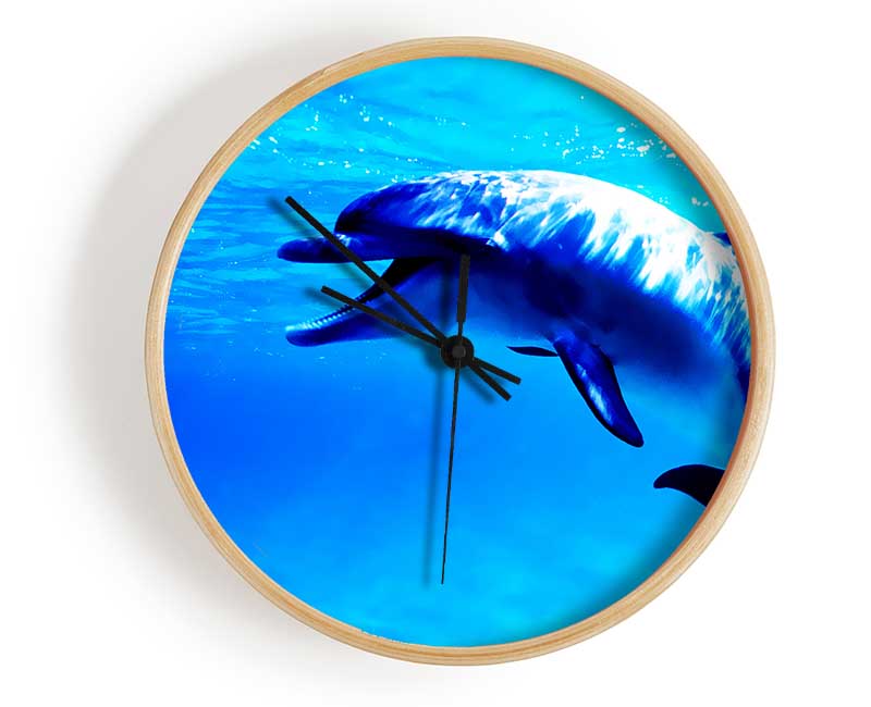 Dolphin Talk Clock - Wallart-Direct UK