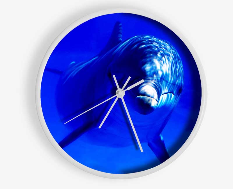 Dolphins Curiosity Clock - Wallart-Direct UK