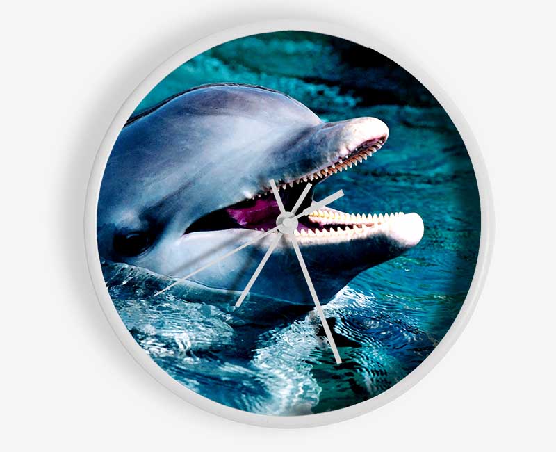 Dolphins Call Clock - Wallart-Direct UK