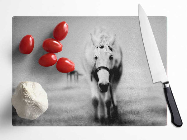 Donkey Curiosity Glass Chopping Board