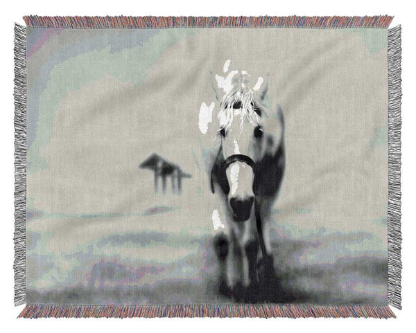 Donkey Curiosity Woven Blanket