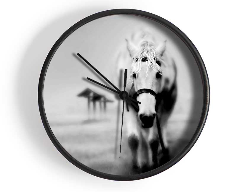 Donkey Curiosity Clock - Wallart-Direct UK