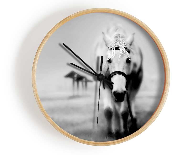 Donkey Curiosity Clock - Wallart-Direct UK