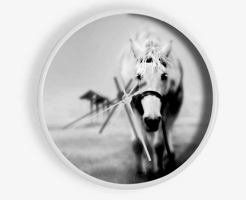 Donkey Curiosity Clock - Wallart-Direct UK