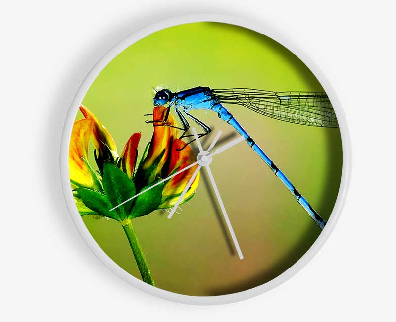 Dragonfly Beauty Clock - Wallart-Direct UK