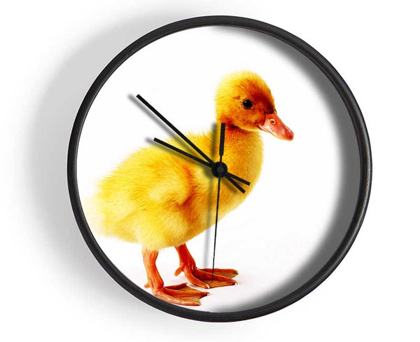 Duckling Clock - Wallart-Direct UK