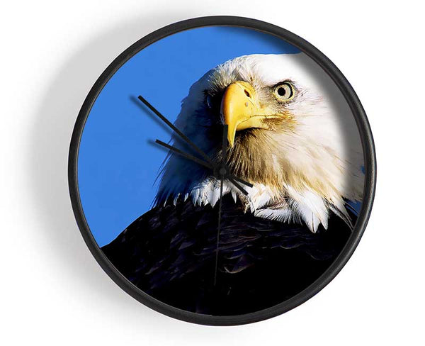 Eagle Stare Clock - Wallart-Direct UK