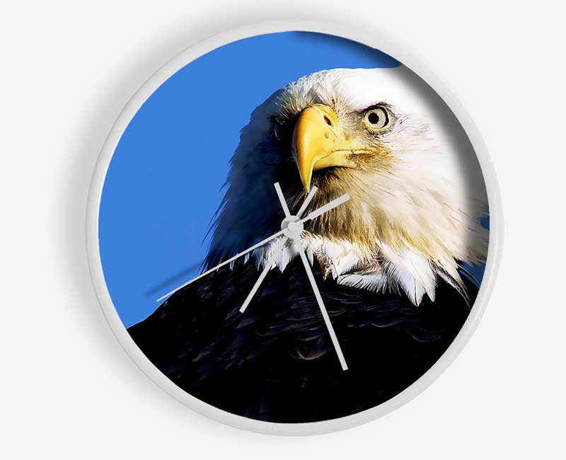 Eagle Stare Clock - Wallart-Direct UK