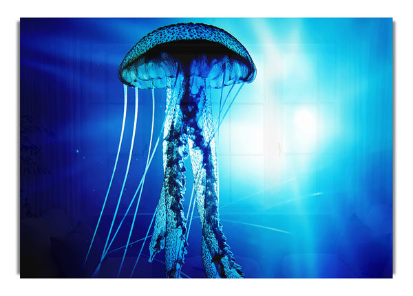 Electric Blue Jellyfish