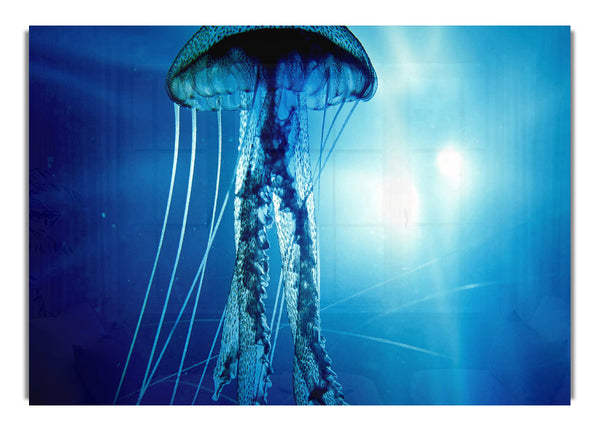 Electric Jellyfish