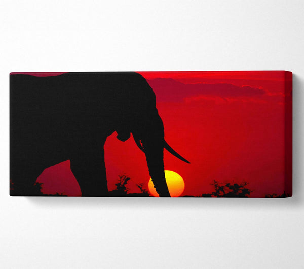 Elephant At Sundown