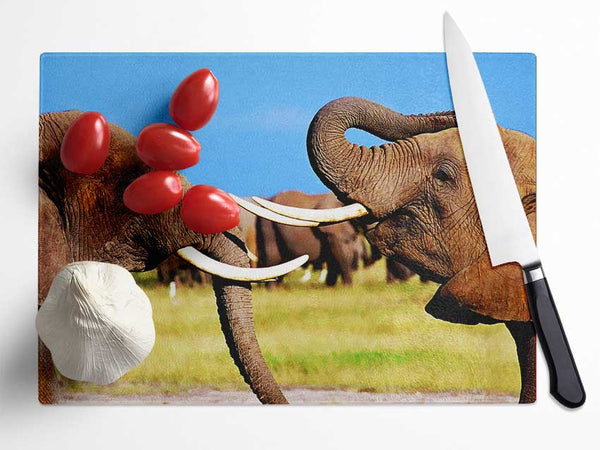 Elephant Chat Glass Chopping Board