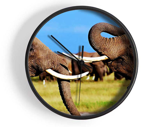 Elephant Chat Clock - Wallart-Direct UK