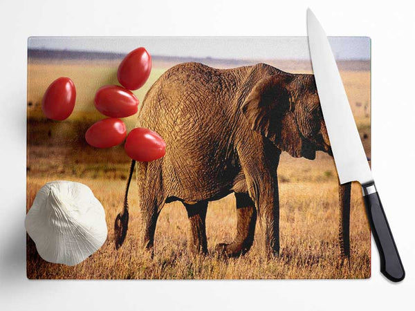 Elephant Mother And Baby Glass Chopping Board