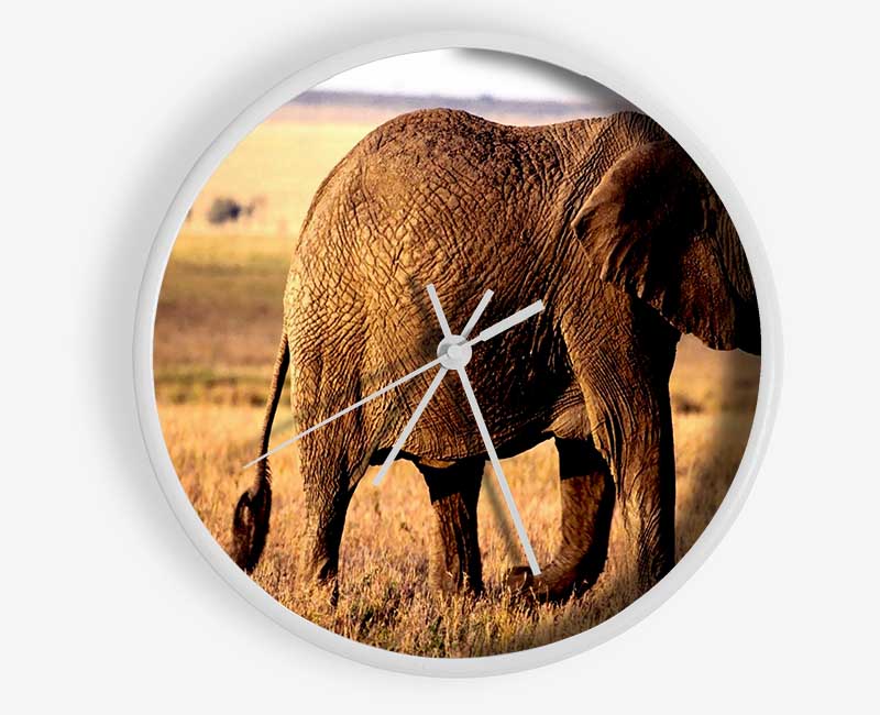 Elephant Mother And Baby Clock - Wallart-Direct UK