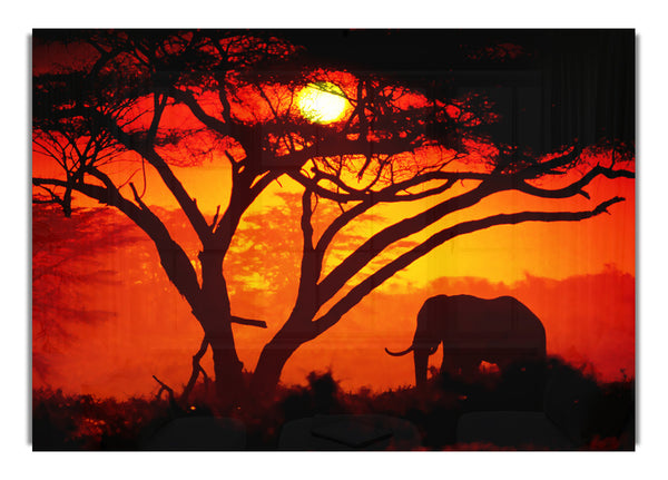 Elephant Safari Sunrise