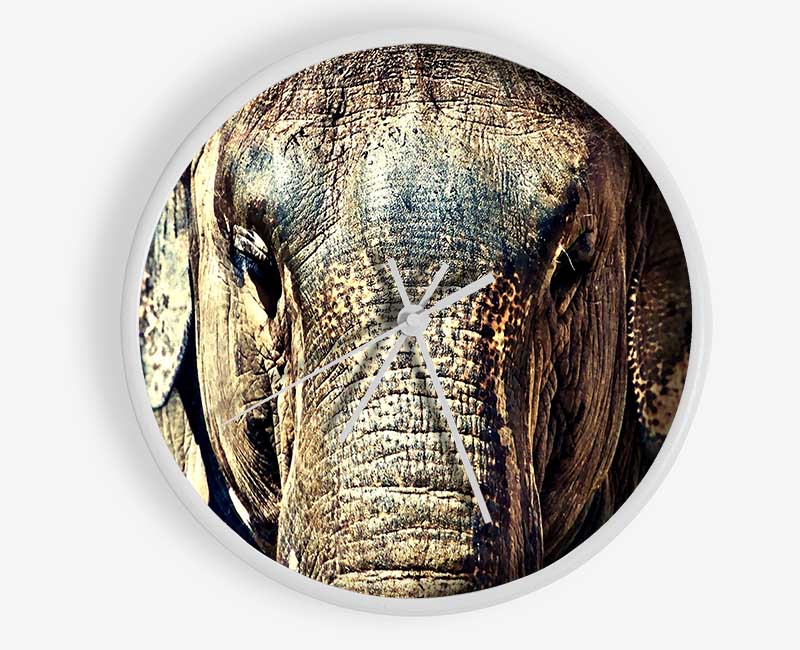 Elephant Trunk Clock - Wallart-Direct UK