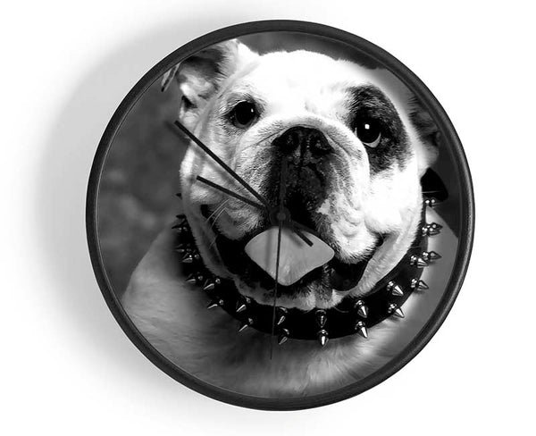 English Bulldog Clock - Wallart-Direct UK