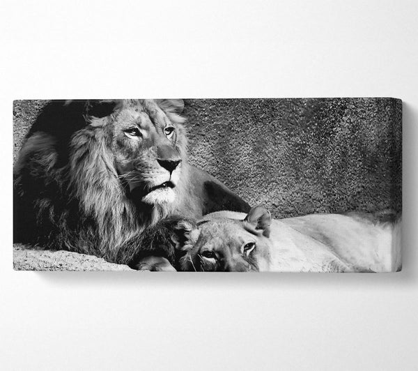 Lion Family Bond