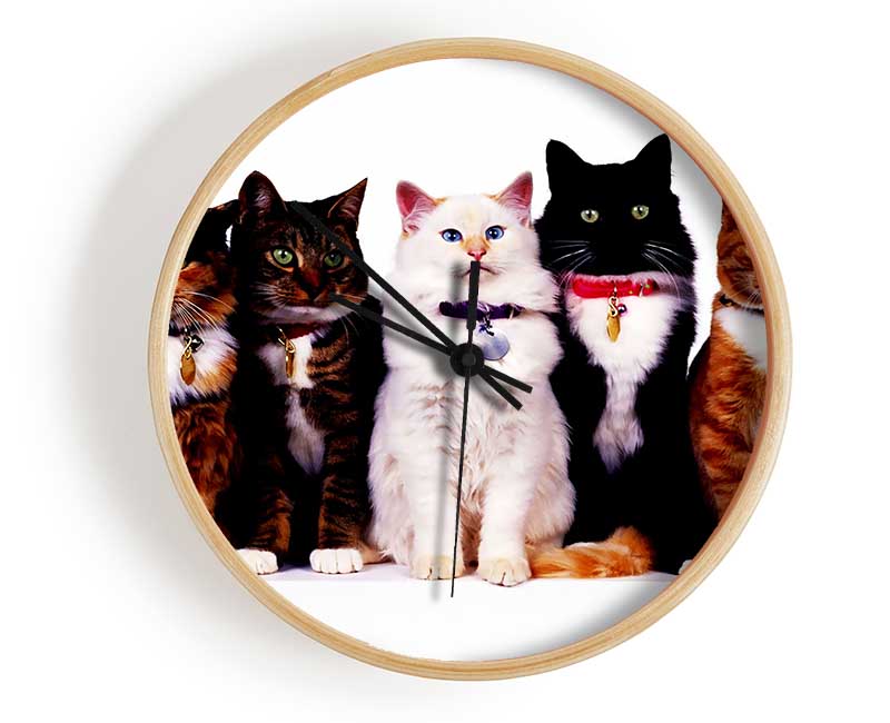 Family Of Cats Clock - Wallart-Direct UK