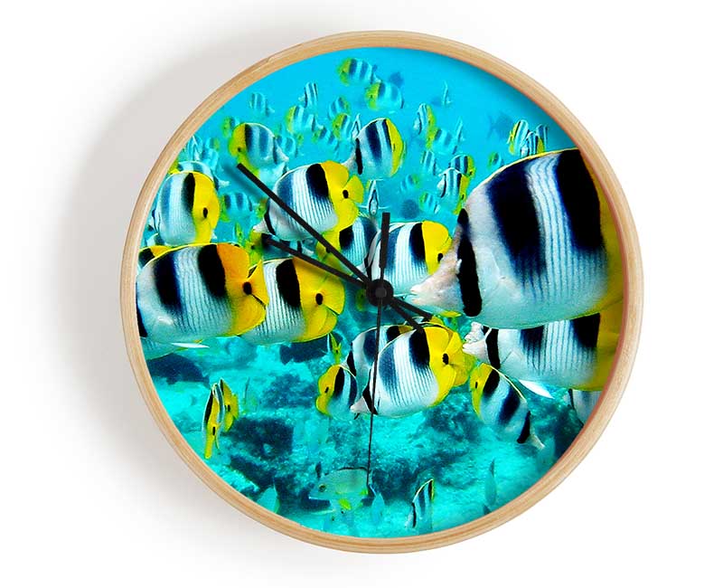 Fish Fury Clock - Wallart-Direct UK