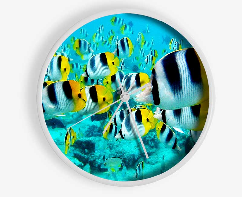 Fish Fury Clock - Wallart-Direct UK