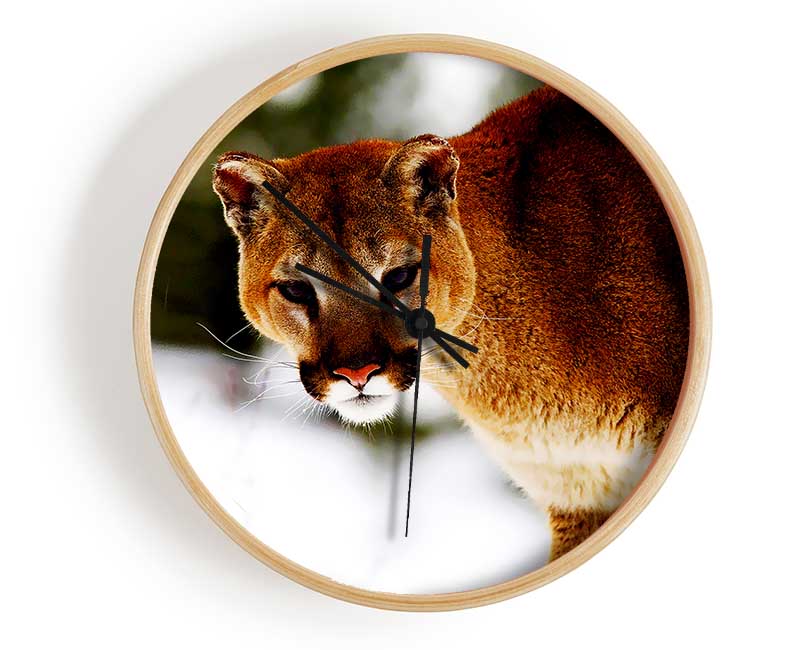 Florida Panther In The Snow Clock - Wallart-Direct UK