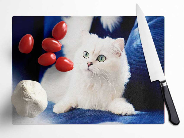 Fluffy White Kitten Glass Chopping Board