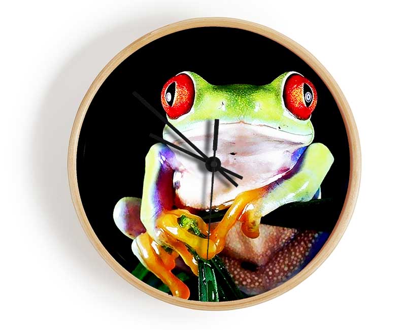 Frog Eyes Clock - Wallart-Direct UK