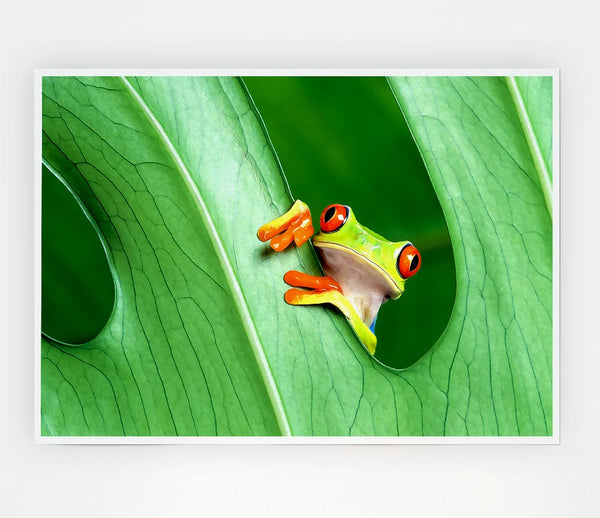 Frog Print Poster Wall Art