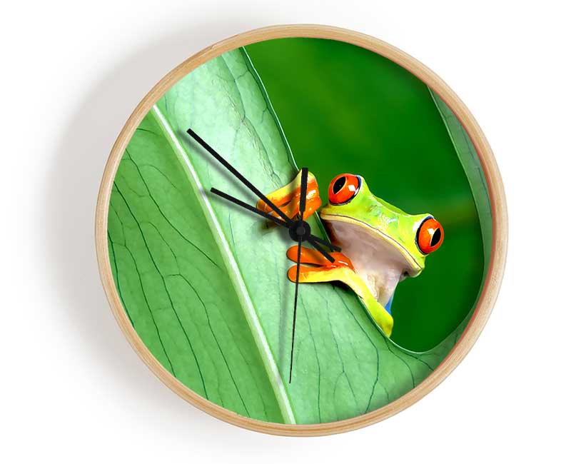 Frog Clock - Wallart-Direct UK