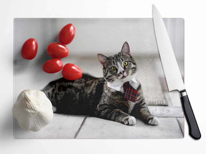 Funny Cat Wears Tie Glass Chopping Board