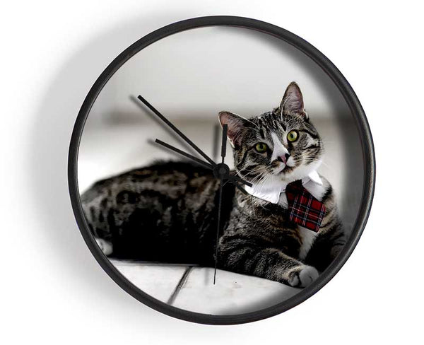 Funny Cat Wears Tie Clock - Wallart-Direct UK