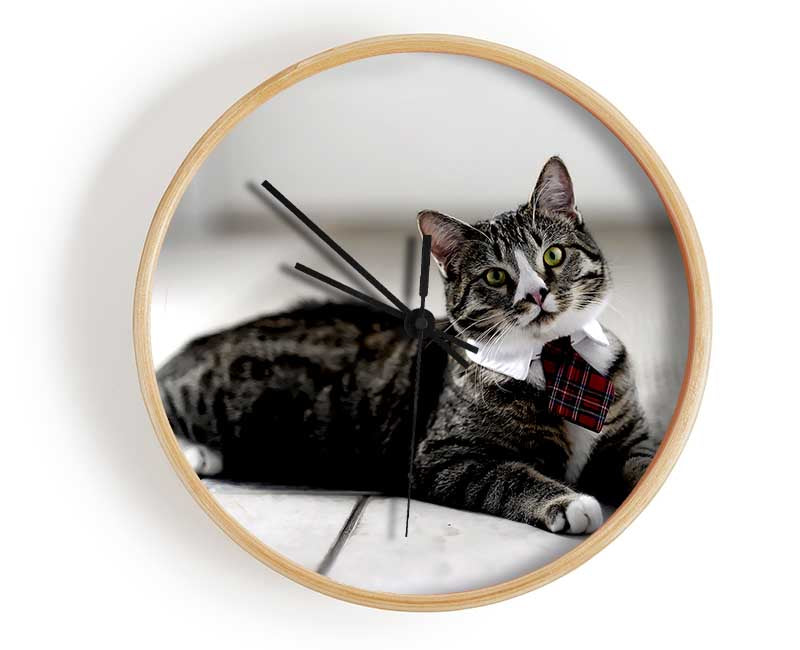 Funny Cat Wears Tie Clock - Wallart-Direct UK