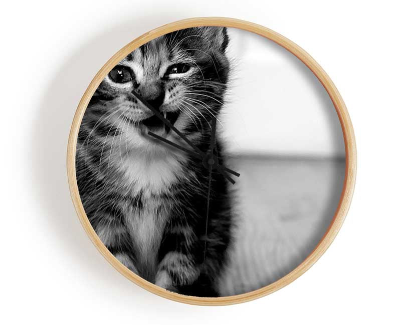 Funny Kitten Clock - Wallart-Direct UK