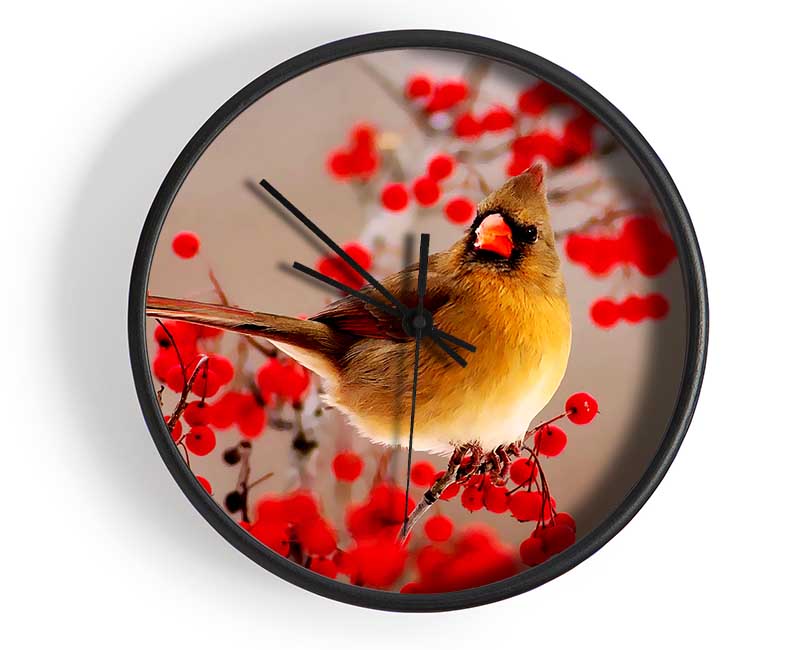 Garden Bird Clock - Wallart-Direct UK