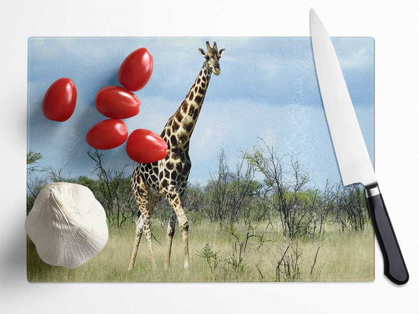 Giraffe In The Wilds Of Namibia Glass Chopping Board