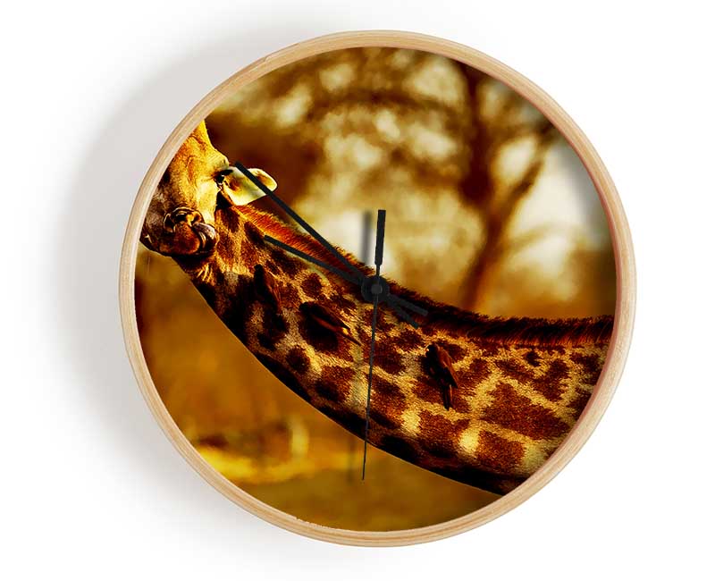 Giraffe Neck For Birds Clock - Wallart-Direct UK