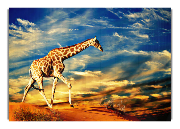 Giraffe Skies