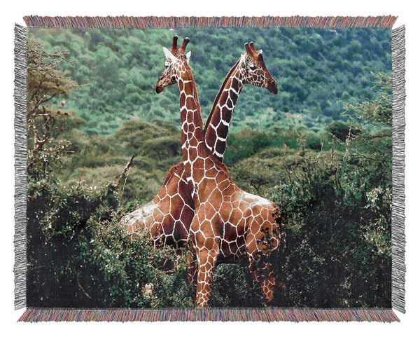 Giraffes Africa Woven Blanket