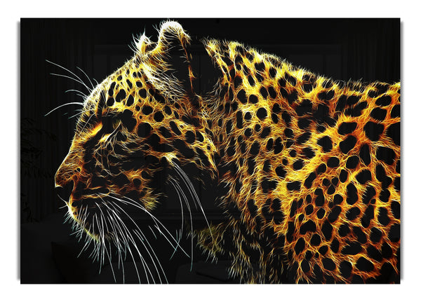 Goldener Gepard