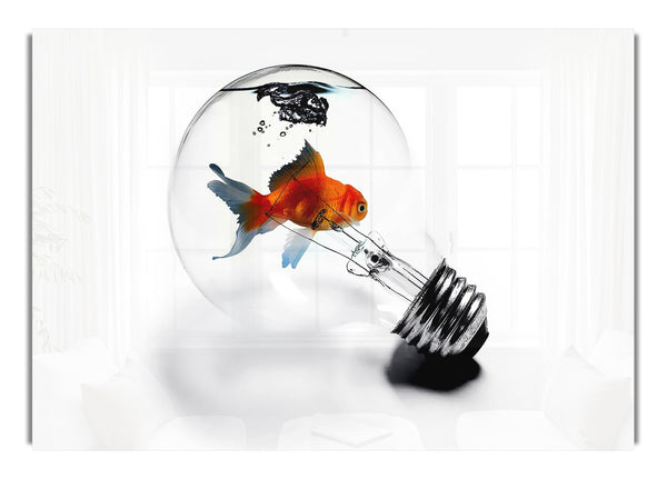 Goldfish Light Bulb