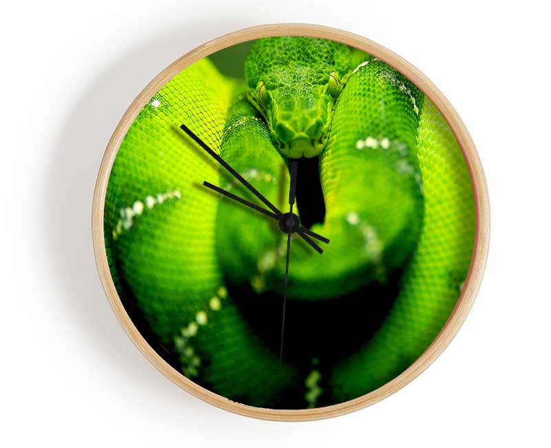 Green Snake Clock - Wallart-Direct UK