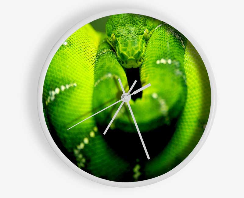 Green Snake Clock - Wallart-Direct UK