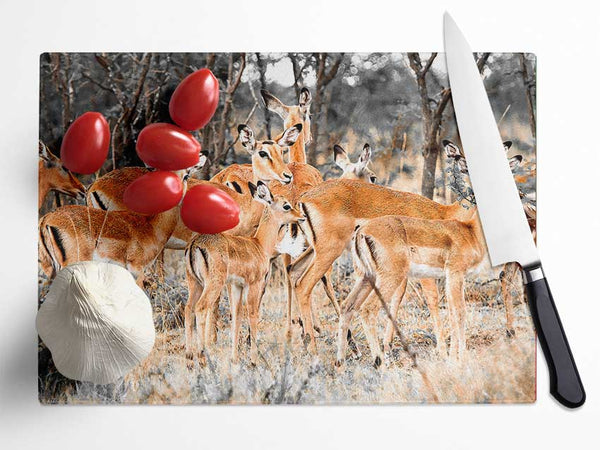 Herd Of Deer Glass Chopping Board