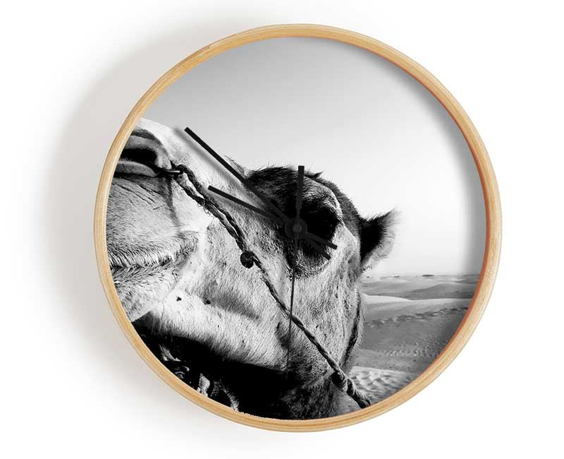 Heres Looking At You Camel Clock - Wallart-Direct UK