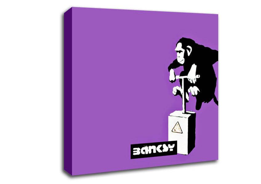 Picture of Monkey Detonator Purple Square Canvas Wall Art