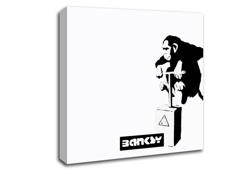 Picture of Monkey Detonator White Square Canvas Wall Art