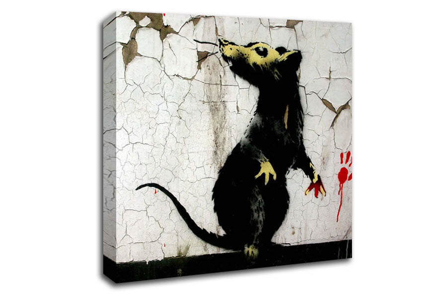 Picture of Rat Paw Square Canvas Wall Art